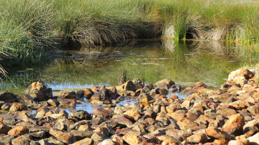 Commercial Property for Sale in Swellendam Rural Western Cape